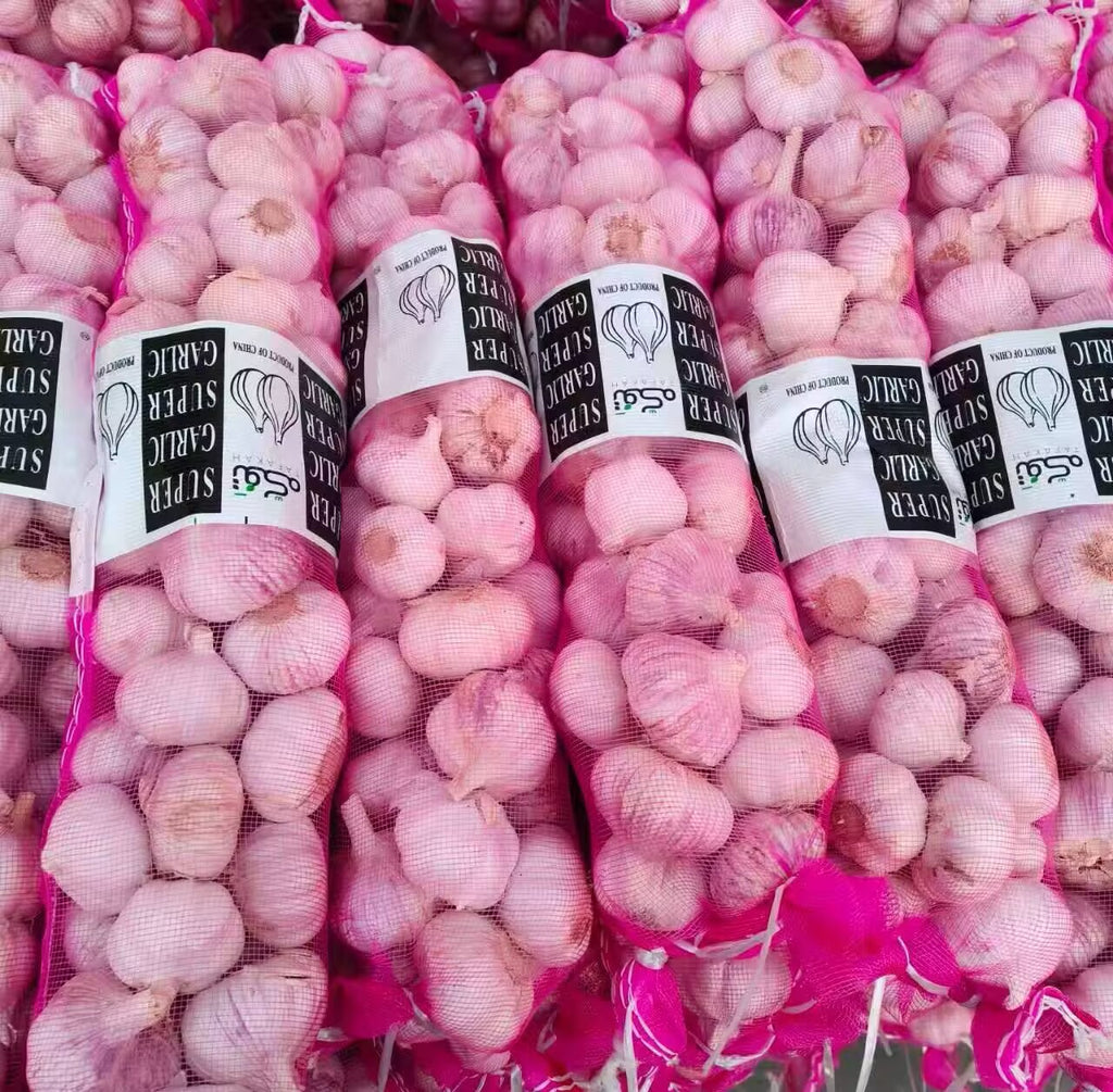 Fresh Chinese Normal White Garlic / Pure White Garlic