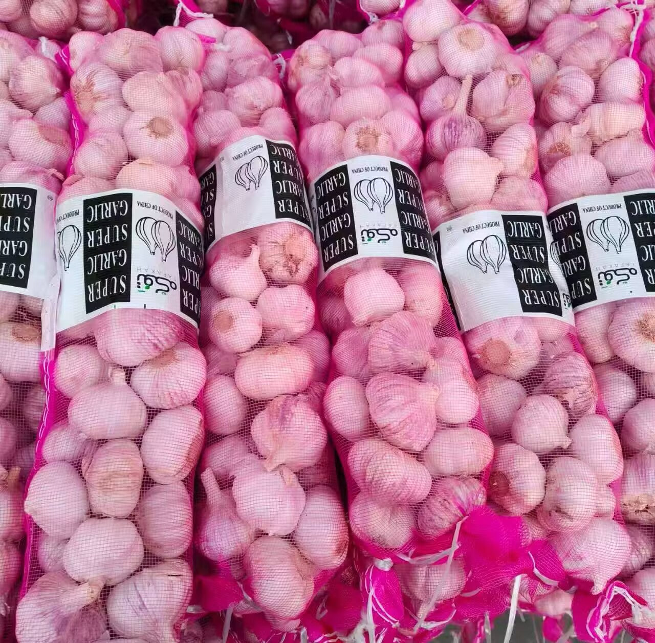 Fresh Chinese Normal White Garlic / Pure White Garlic